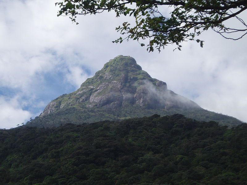 En bild från avstånd på berget Adams Peak med himmel och moln i bakgrunden. Berget är täckt av skog och en trädgren i syns i förgrunden.