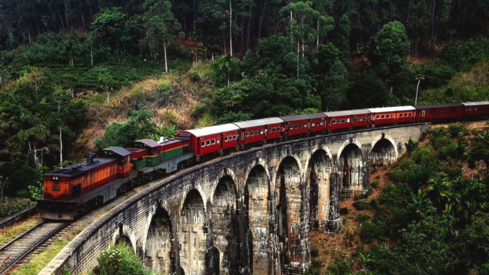 En bild på ett tåg på en lång stenbro som heter Nine Arches Bridge. Bron ligger i en skog.